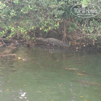 фото из отзыва ID 2662858