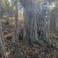 фото из отзыва ID 2662858