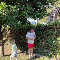 фото из отзыва ID 2662906