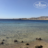 фото из отзыва ID 2662960