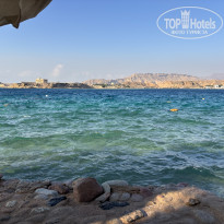 фото из отзыва ID 2662960