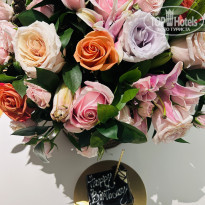 фото из отзыва ID 2662880