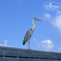 фото из отзыва ID 2662880