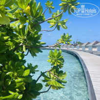 фото из отзыва ID 2662880