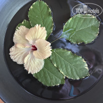 фото из отзыва ID 2662880