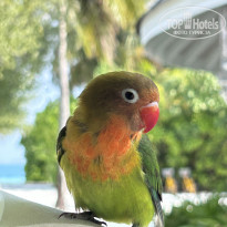 фото из отзыва ID 2662880