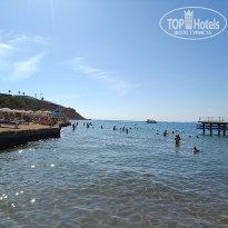 фото из отзыва ID 2663052