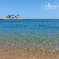 фото из отзыва ID 2663062