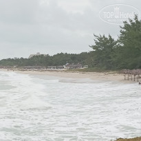 фото из отзыва ID 2663075