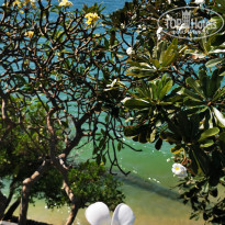 фото из отзыва ID 2662974