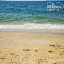 фото из отзыва ID 2662974