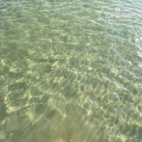 фото из отзыва ID 2663173