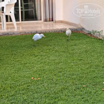 фото из отзыва ID 2663175