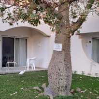 фото из отзыва ID 2663175