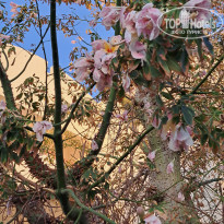 фото из отзыва ID 2663175