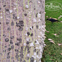 фото из отзыва ID 2663175