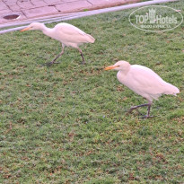 фото из отзыва ID 2663175