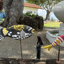 фото из отзыва ID 2663198