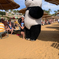 фото из отзыва ID 2663073