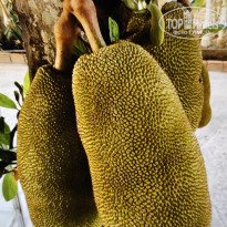 фото из отзыва ID 2663214