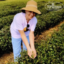 фото из отзыва ID 2663214