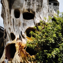 фото из отзыва ID 2663214