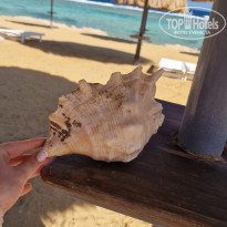 фото из отзыва ID 2663243