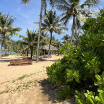 фото из отзыва ID 2663259