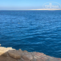 фото из отзыва ID 2663281