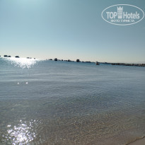 фото из отзыва ID 2663320