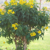 фото из отзыва ID 2663320