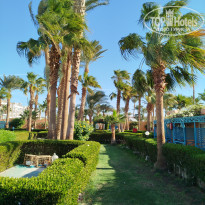 фото из отзыва ID 2663320