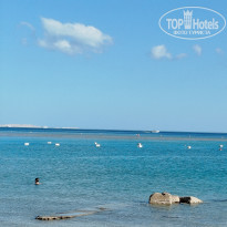 фото из отзыва ID 2663320