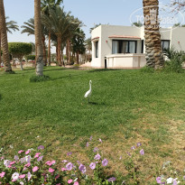 фото из отзыва ID 2663375