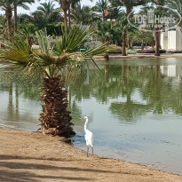 фото из отзыва ID 2663375