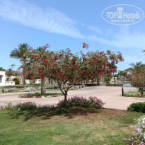 фото из отзыва ID 2663375