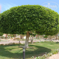 фото из отзыва ID 2663375