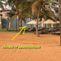 фото из отзыва ID 2663413