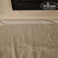 фото из отзыва ID 2663413