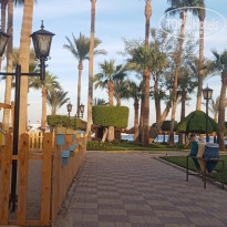 фото из отзыва ID 2663464