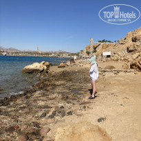 фото из отзыва ID 2663540