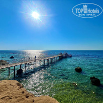 фото из отзыва ID 2663574