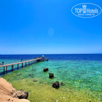 фото из отзыва ID 2663574