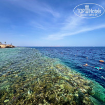 фото из отзыва ID 2663574