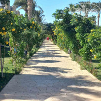 фото из отзыва ID 2663655