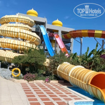 фото из отзыва ID 2663655