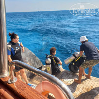 фото из отзыва ID 2663655