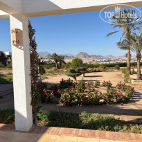 фото из отзыва ID 2663671