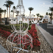 фото из отзыва ID 2663570