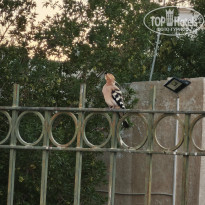 фото из отзыва ID 2663570